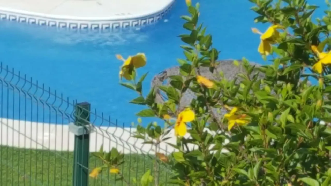 Sol Apartamentos Ayamonte